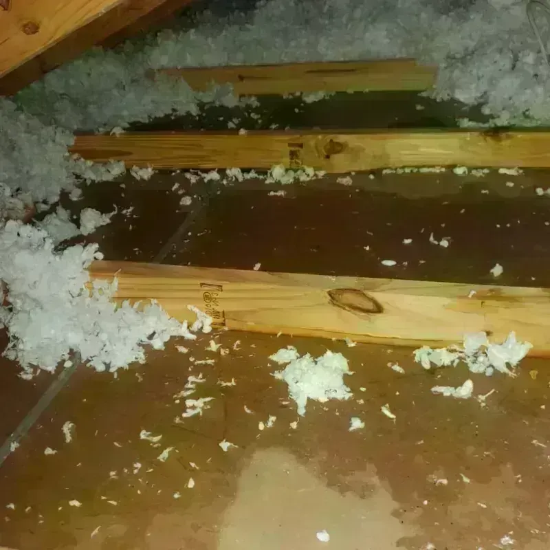 Attic Water Damage in East Greenbush, NY